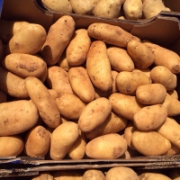 Potatoes 20