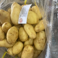 Potatoes 97